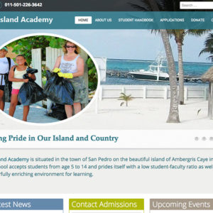 Screenshot of The Island Academy website